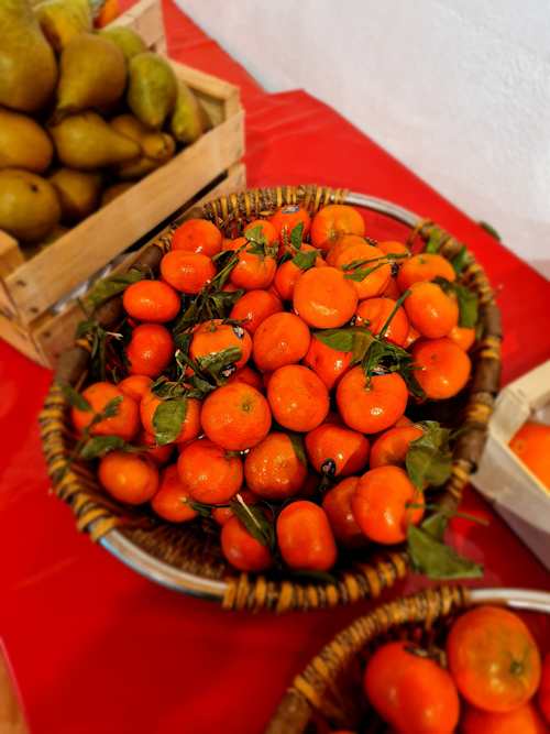 Clementinen im Mittelpunkt.jpg